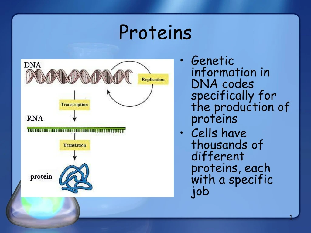 proteins