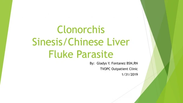 Clonorchis Sinesis /Chinese Liver Fluke Parasite