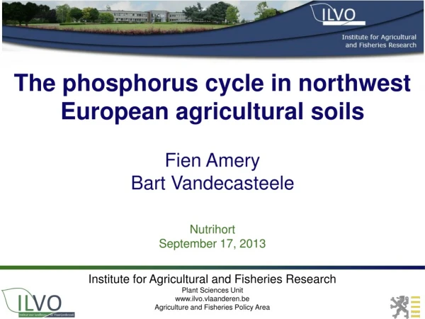 The phosphorus cycle in n orthwest European agricultural soils