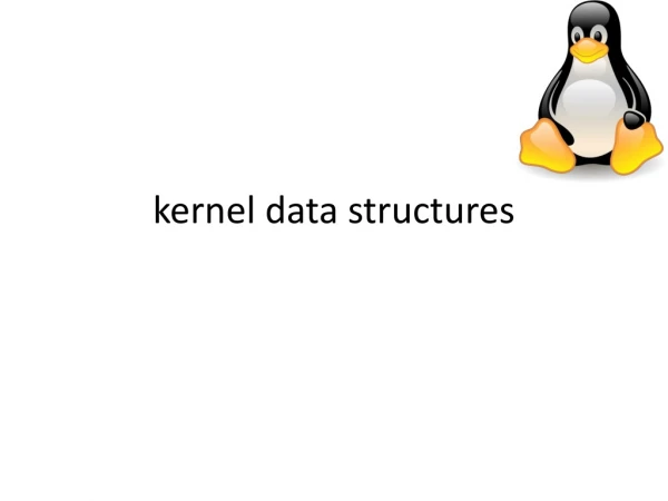 kernel data structures