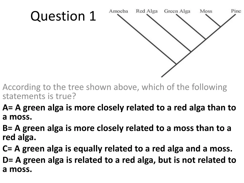 question 1