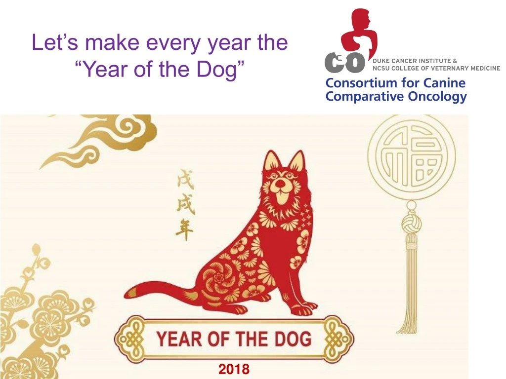 let s make every year the year of the dog