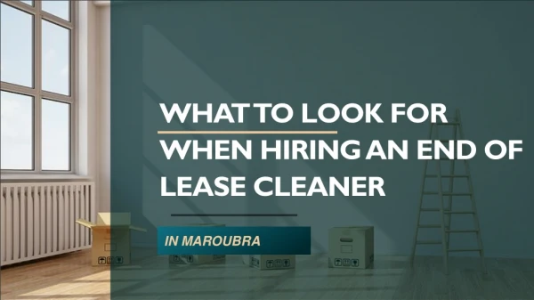 What Should You Look for in a Professional End of Tenancy Cleaning Company in Maroubra?