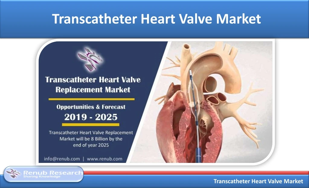 transcatheter heart valve market