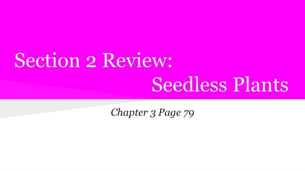 section 2 review seedless plants