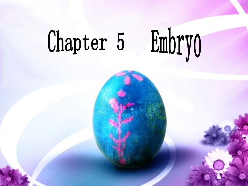 chapter 5 embryo