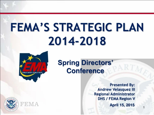 FEMA’S STRATEGIC PLAN 2014-2018