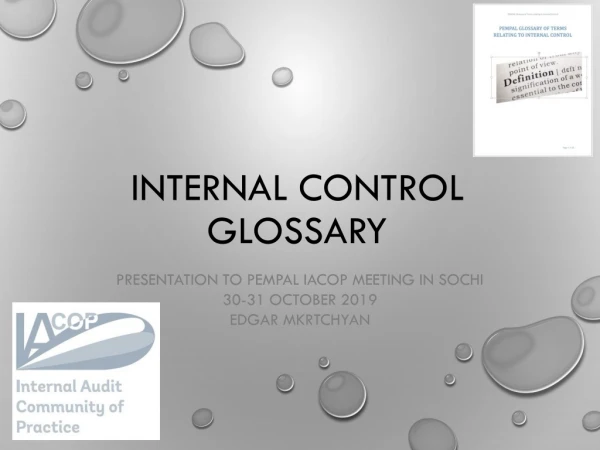Internal CONTROL GLOSSARY