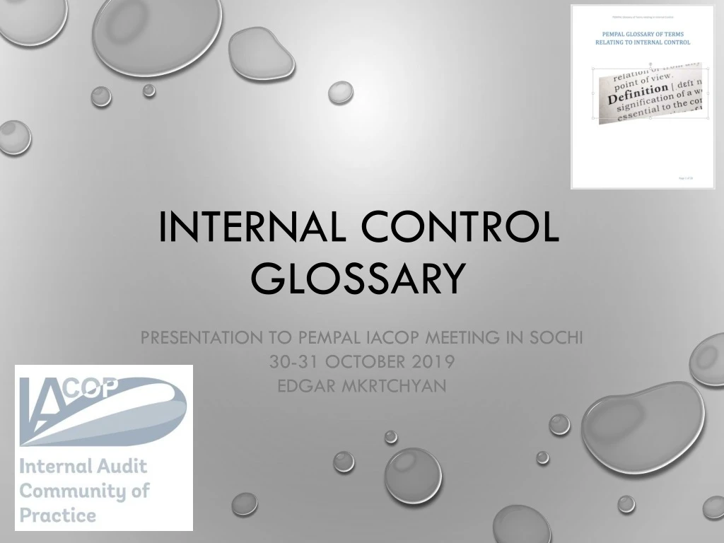 internal control glossary