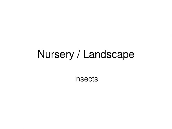 Nursery / Landscape