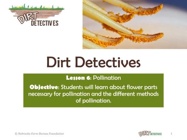 Dirt Detectives