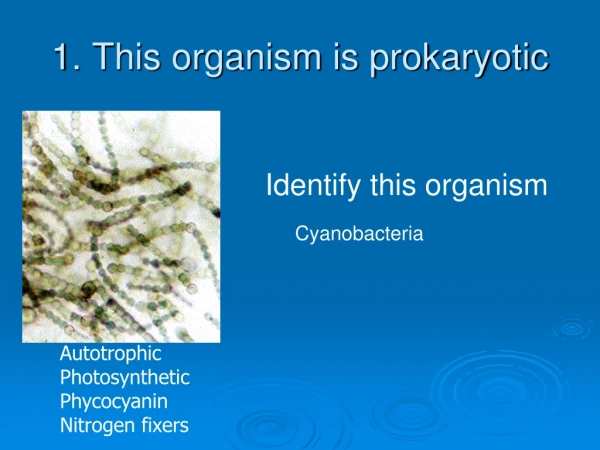 1. This organism is prokaryotic