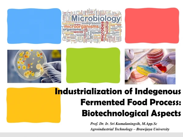 Industrialization of Indegenous Fermented Food Process: Biotechnological Aspects