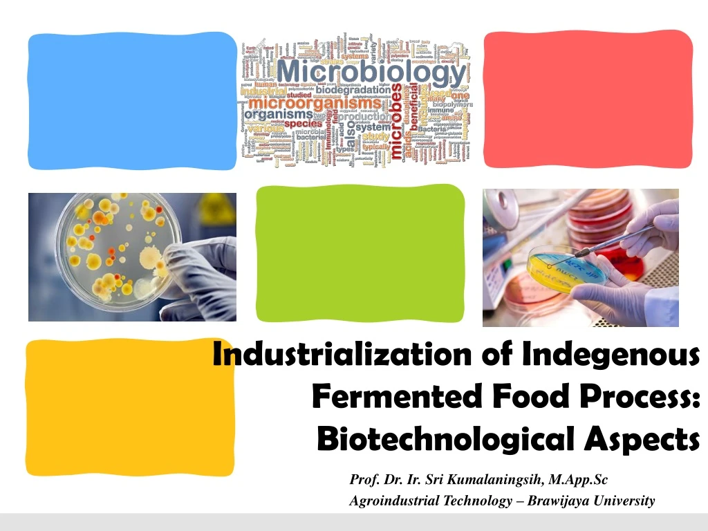 industrialization of indegenous fermented food process biotechnological aspects