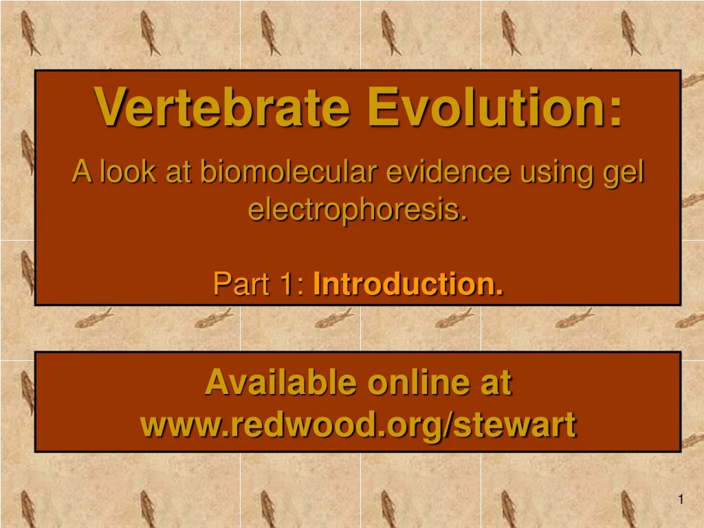 vertebrate evolution a look at biomolecular evidence using gel electrophoresis part 1 introduction