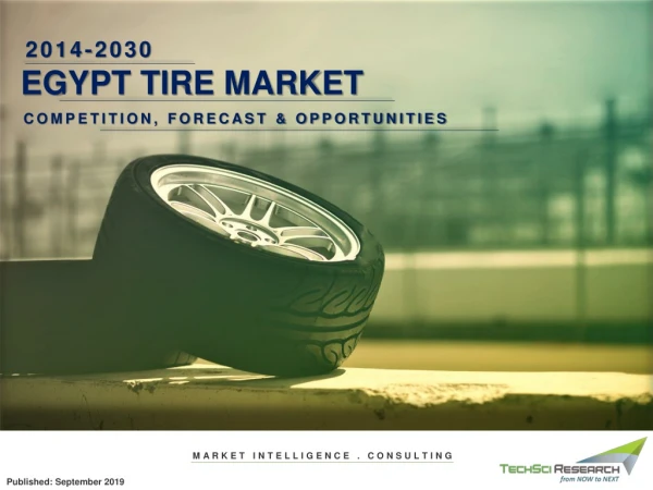 Egypt Tire Market, Forecast and Opportunities, 2030 - Techsci Research