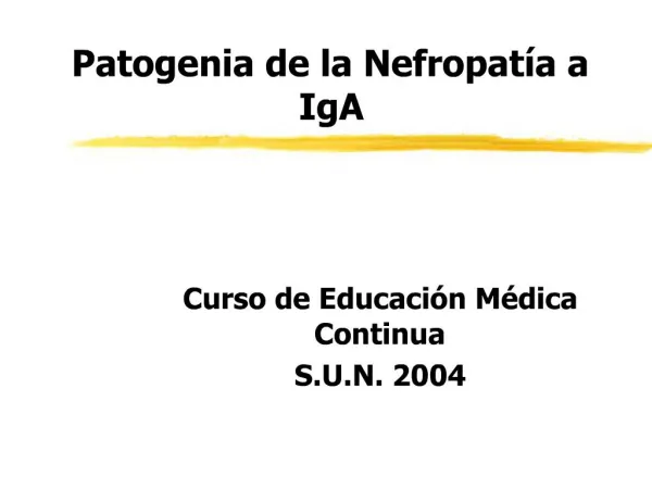 Patogenia de la Nefropat a a IgA