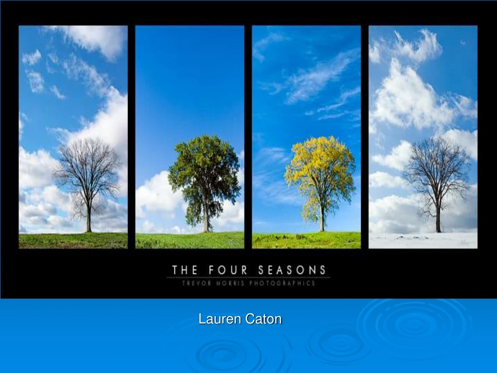 the four seasons