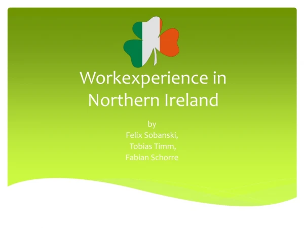 Workexperience in Northern Ireland