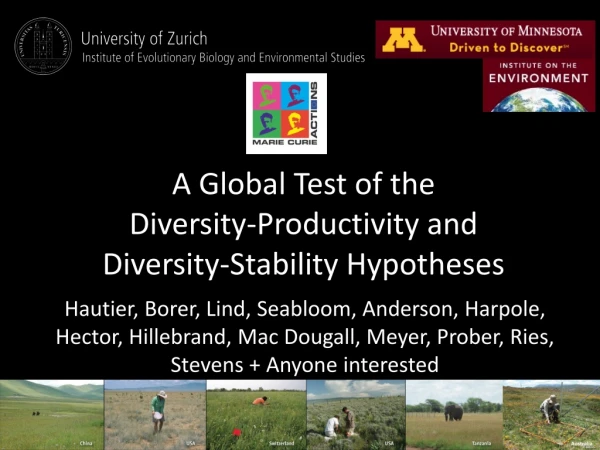A Global Test of the Diversity-Productivity and Diversity-Stability Hypotheses