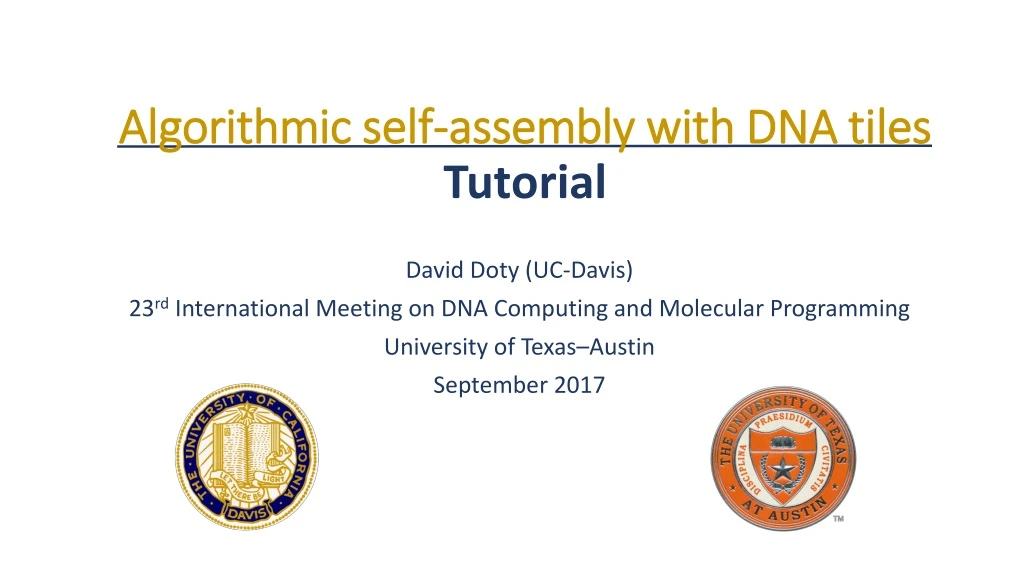 algorithmic self assembly with dna tiles tutorial
