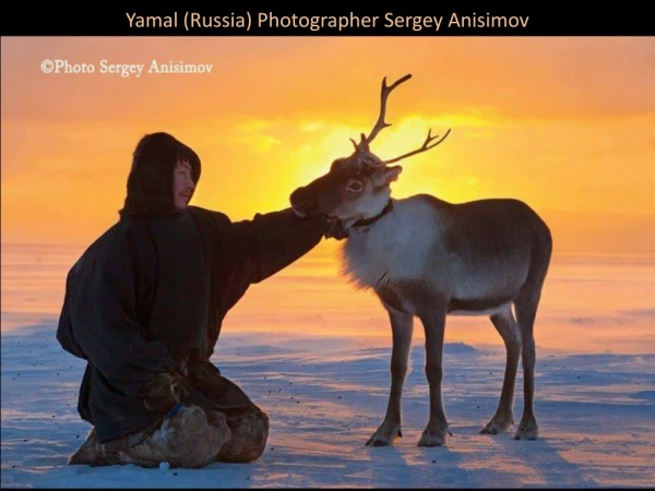 Yamal (Russia) Photographer Sergey Anisimov