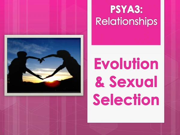 Evolution &amp; Sexual Selection