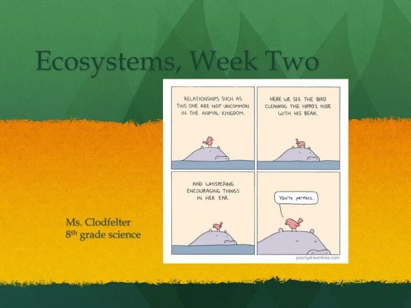 Ecosystems, Week Two