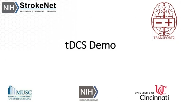 tDCS Demo