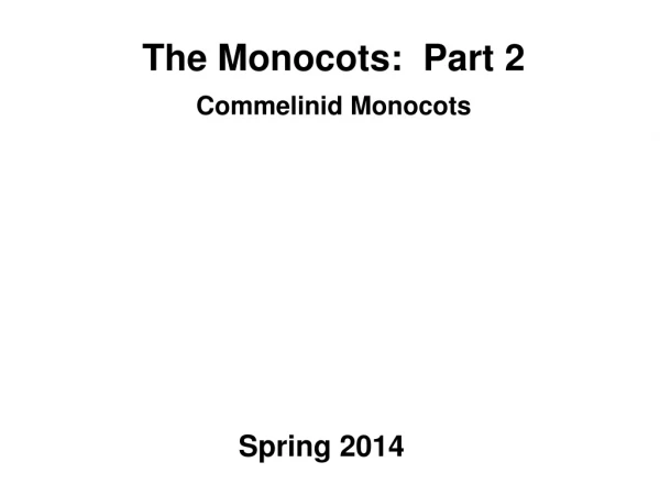 The Monocots: Part 2 Commelinid Monocots