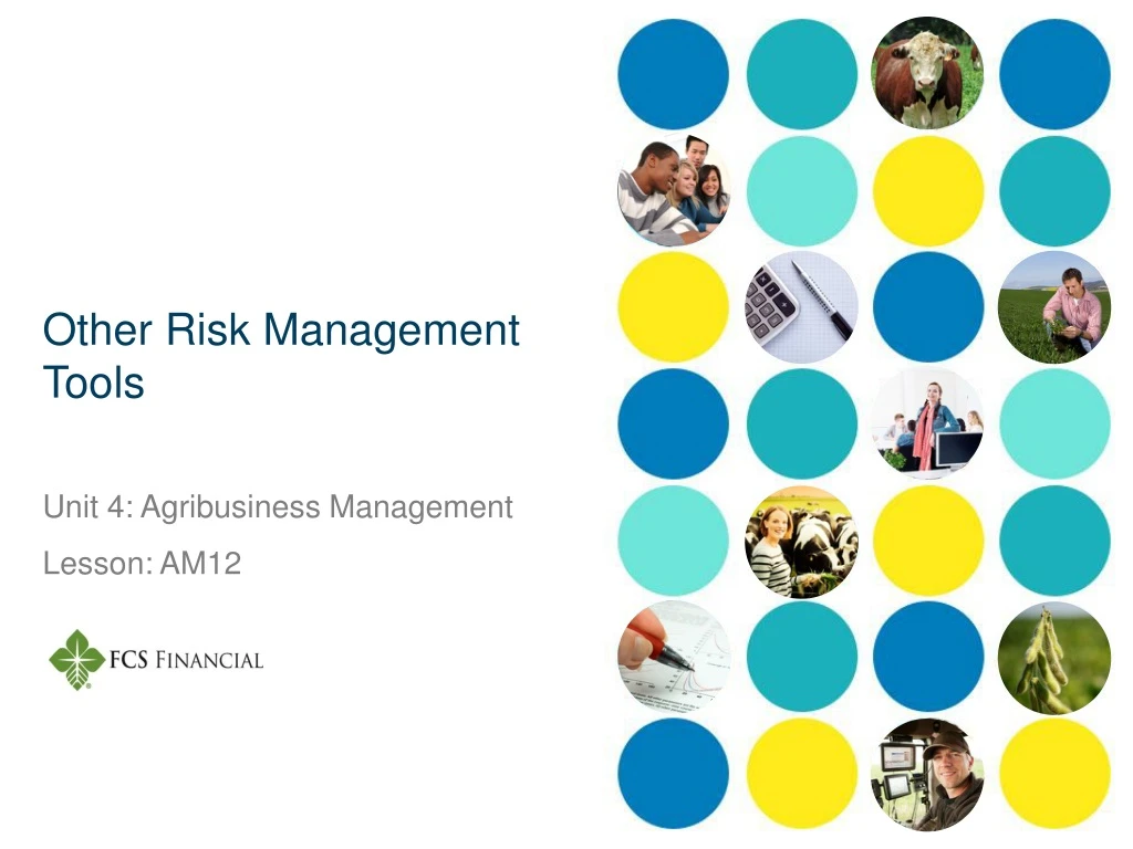 other risk management tools