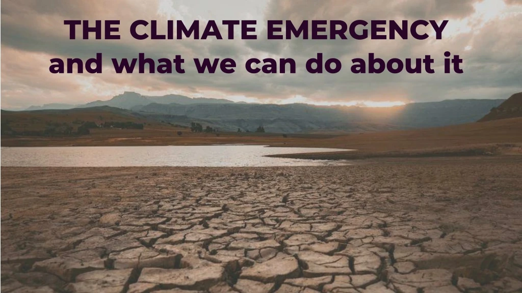 the climate emergency and what we can do about it