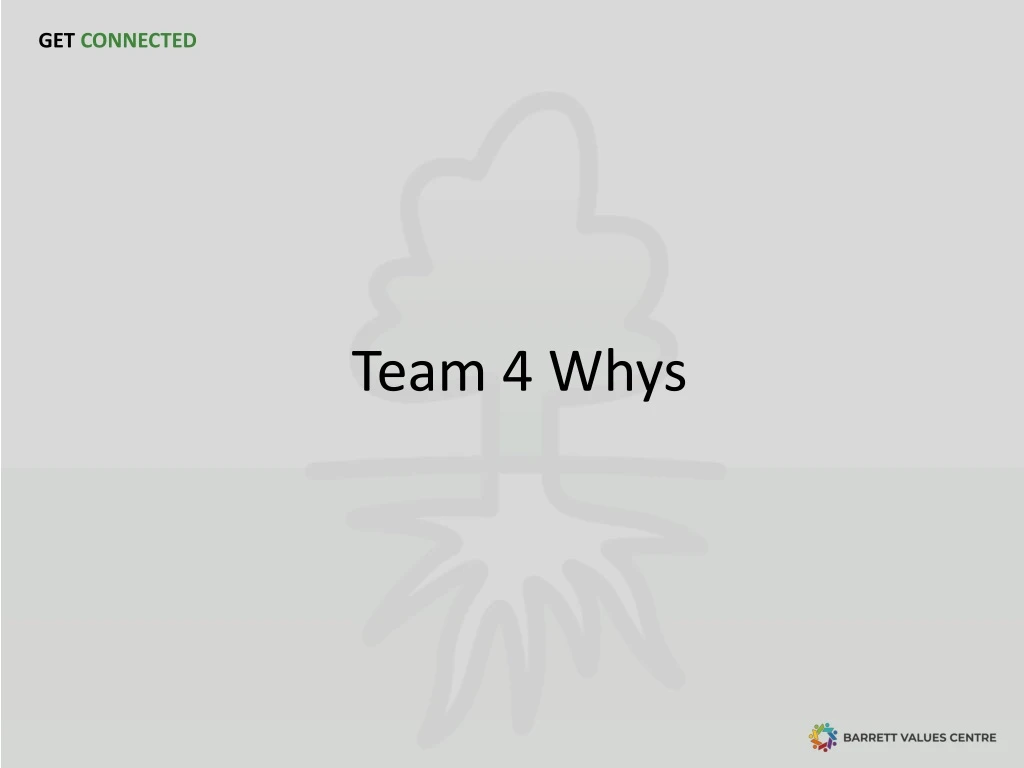 team 4 whys