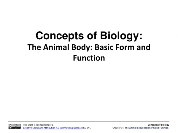Concepts of Biology: The Animal Body: Basic Form and Function