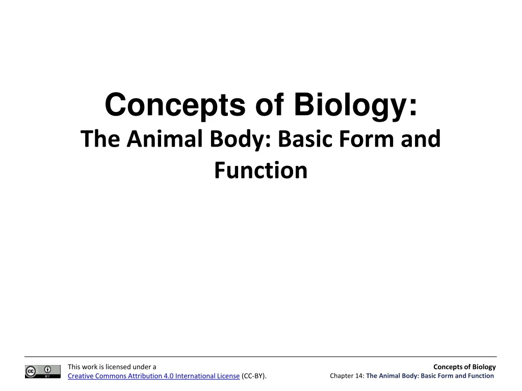 concepts of biology the animal body basic form