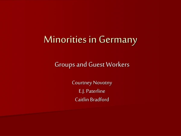 Minorities in Germany