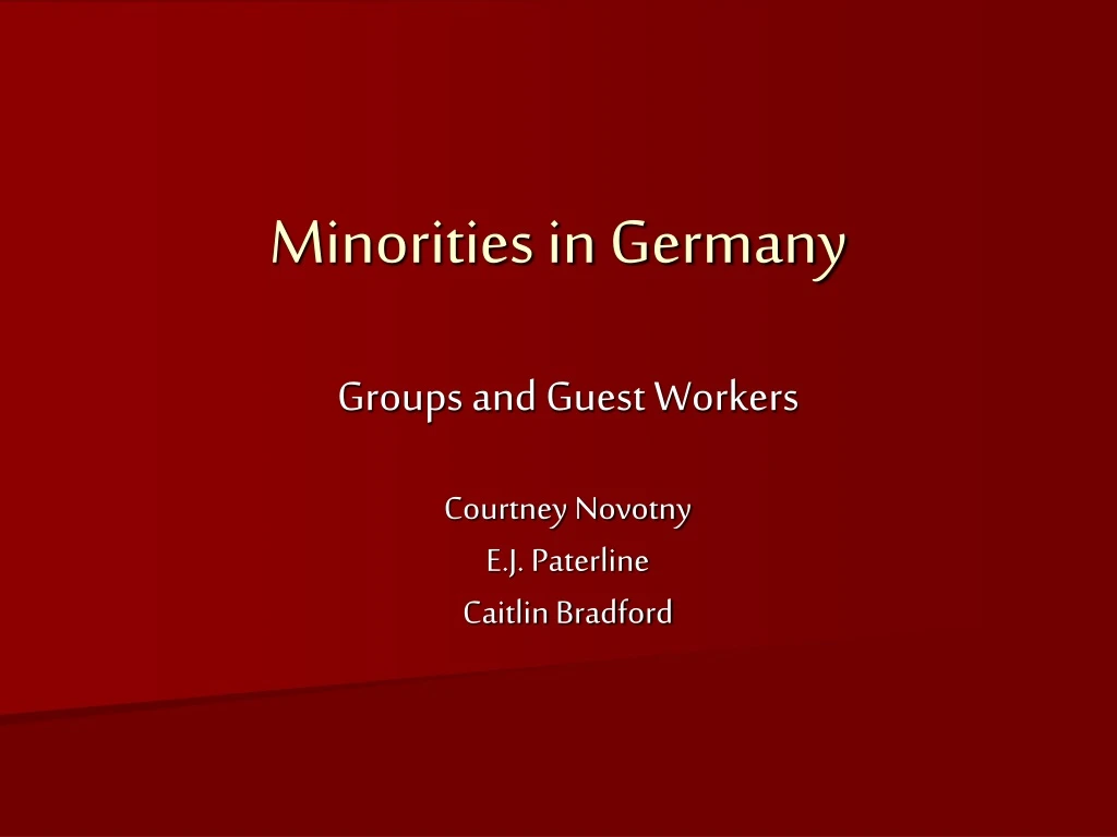 minorities in germany