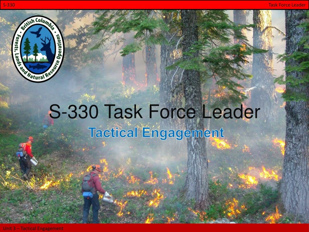 s 330 task force leader