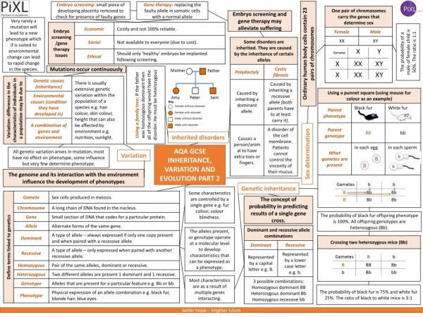 AQA GCSE INHERITANCE, VARIATION AND EVOLUTION PART 2