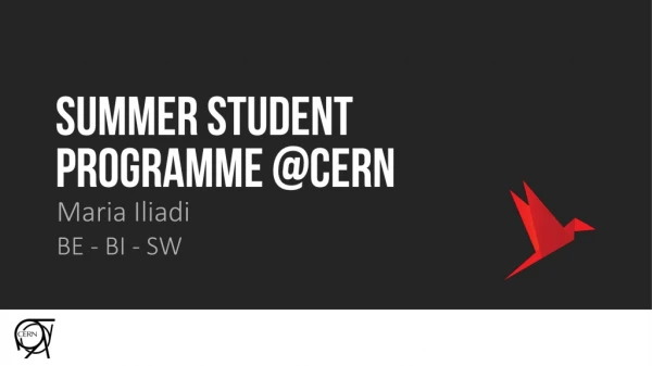 SUMMER STUDENT Programme @cern