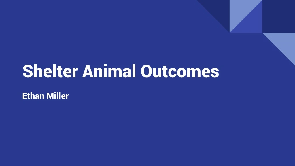 shelter animal outcomes