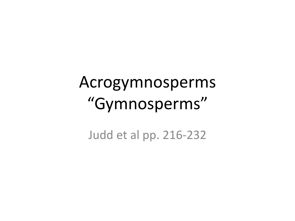 acrogymnosperms gymnosperms