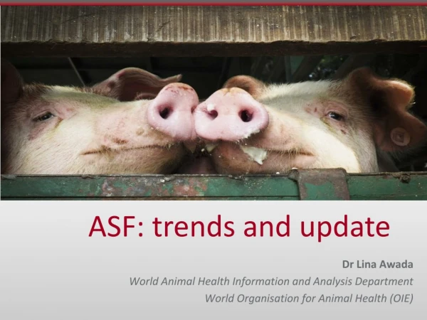 ASF: trends and update
