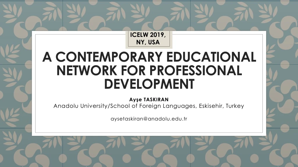 a contemporary educational network for professional development