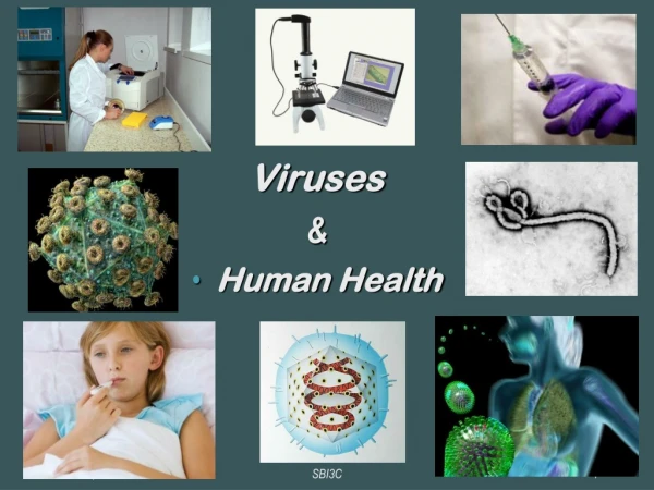 Viruses &amp; Human Health ‏