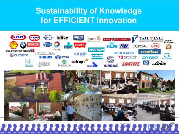 Sustainability of Knowledge for EFFICIENT Innovation