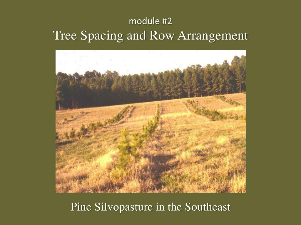 module 2 tree spacing and row arrangement