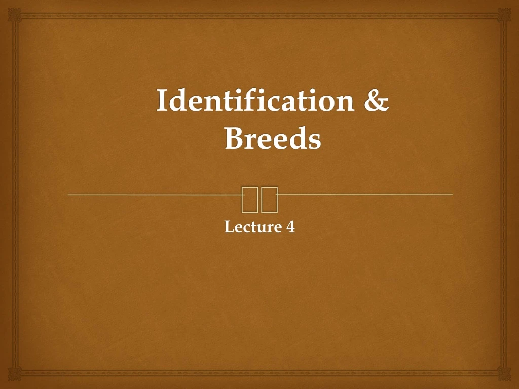 identification breeds