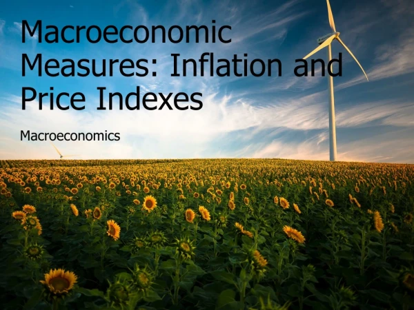 Macroeconomic Measures: Inflation and Price Indexes