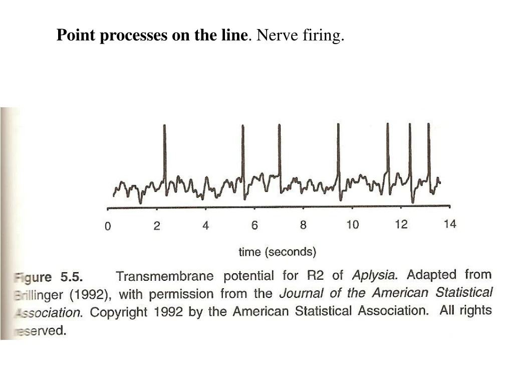 point processes on the line nerve firing